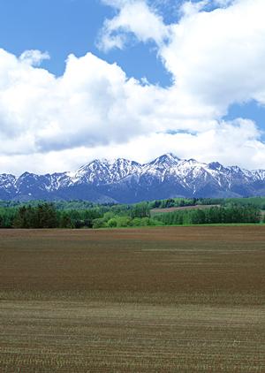 静岡県浜松市の家族葬専門斎場「家族葬のタクセル天王」の詳細解説と魅力