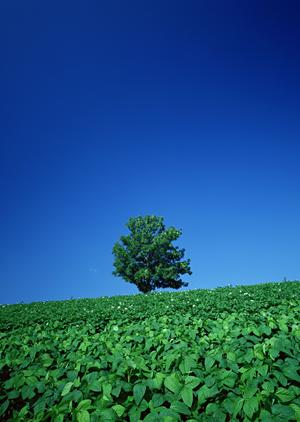静岡市清水区の家族葬専門斎場【家族葬のタクセル西久保】詳細ガイドと選ばれる理由