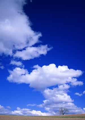 家族の愛を確かめる自分らしい葬儀を