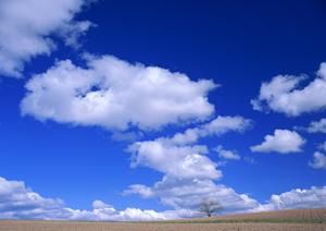 浜松市中央区の家族葬に最適な小規模葬儀場【富士葬祭 小豆餅】の特徴と詳細情報