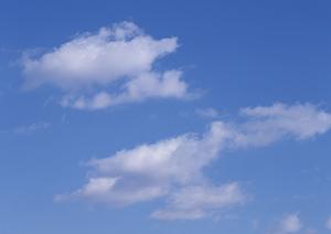 デザイン性と高品質で人気のモダン仏壇