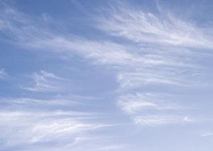 【公式】さがみ典礼の家族葬 旭｜栃木県宇都宮市の家族葬・一日葬に最適な葬儀場情報と特徴