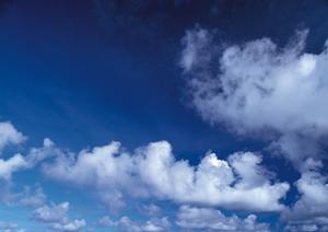 海洋散骨の委託サービスに関する話