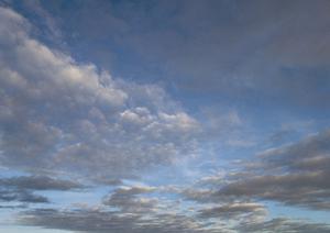 多くの人々から注目されている樹木葬とは