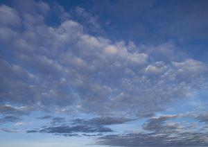 低予算の葬儀を行える市民葬祭とは